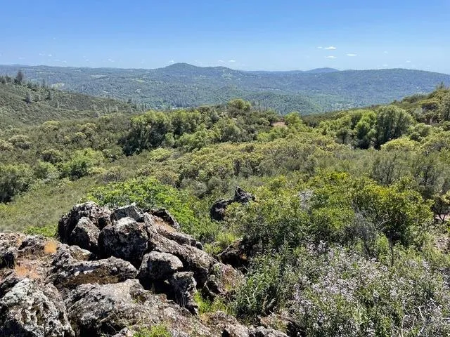a view of a large mountains with lots of trees