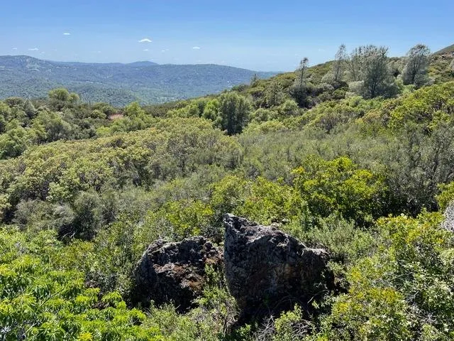 a view of a mountain in the distance