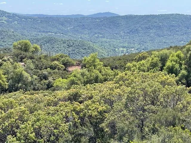 a view of a field with a mountain in the background