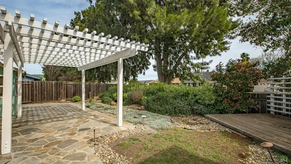 a outdoor space with lots of tall trees