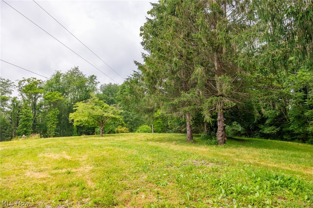 74333 Irish Ridge Road Kimbolton, OH 43749 - Photo 16 of 19