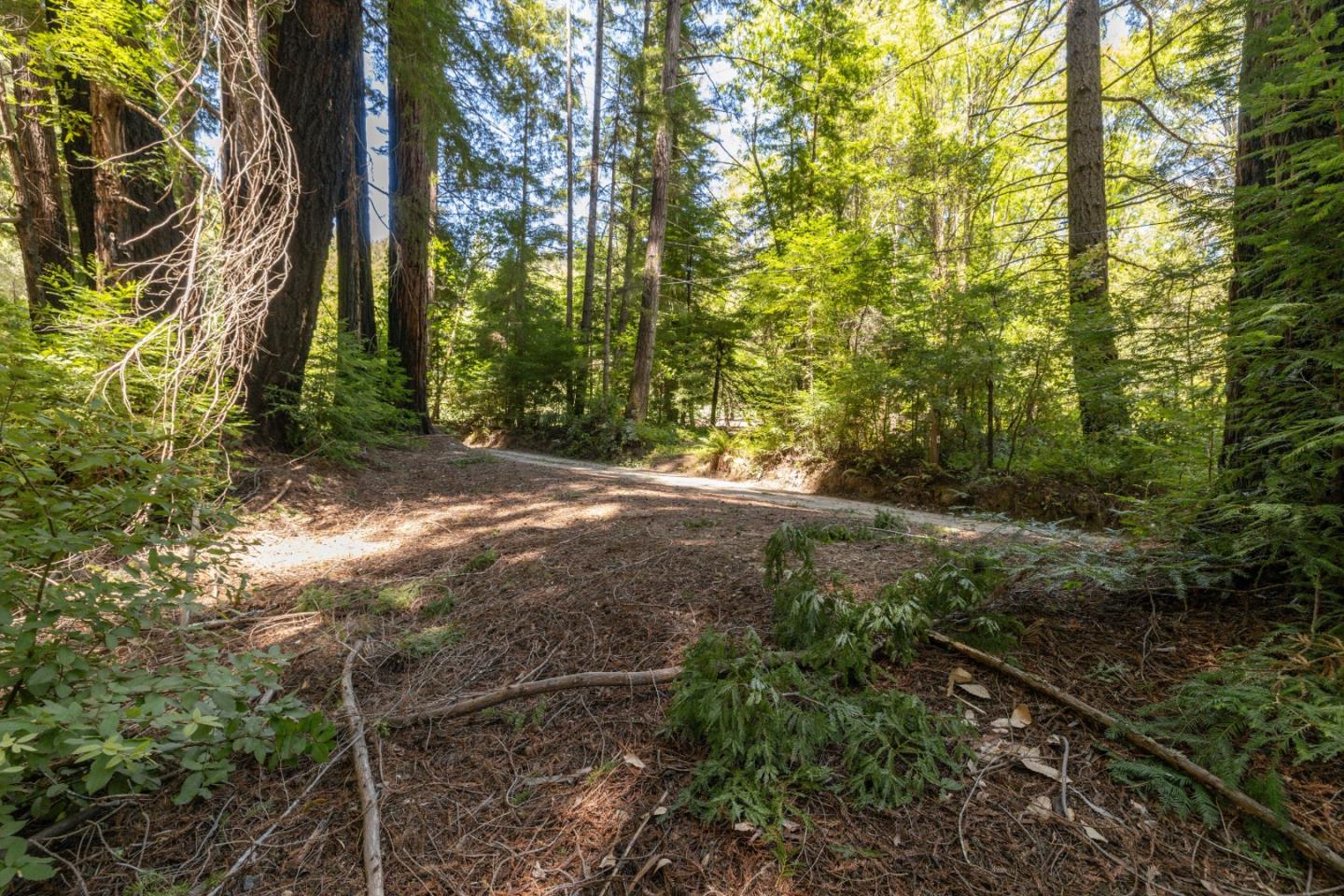 Lot 17 Branson Ranch Boulder Creek, CA 95006 - Photo 5 of 45 a view of backyard with green space