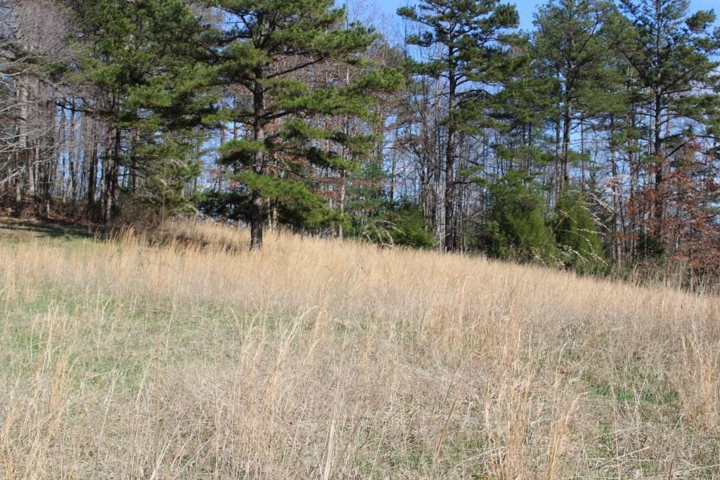 1176 War Fork Road McKee, KY 40447 - Photo 17 of 48 Photo 17