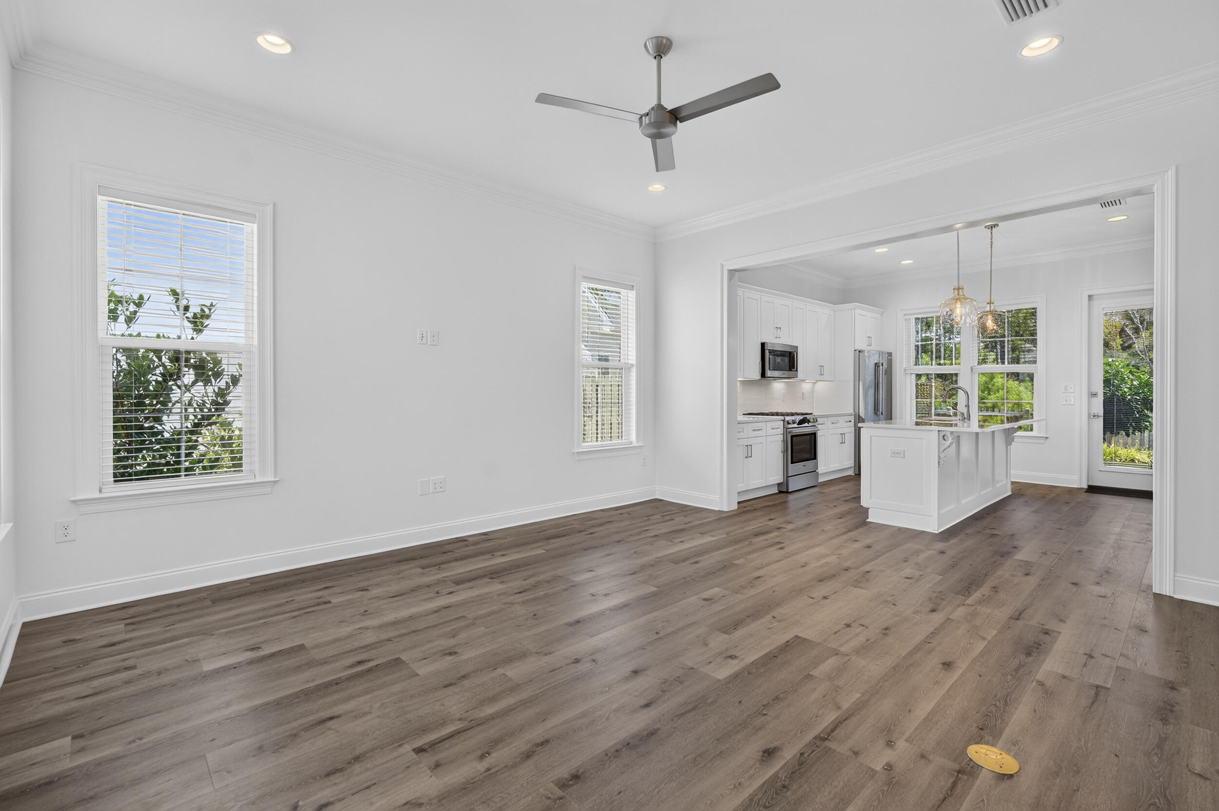 175 Suwannee Dr Inlet Beach Inlet Beach, FL 32461 - Photo 3 of 49 DSC03602