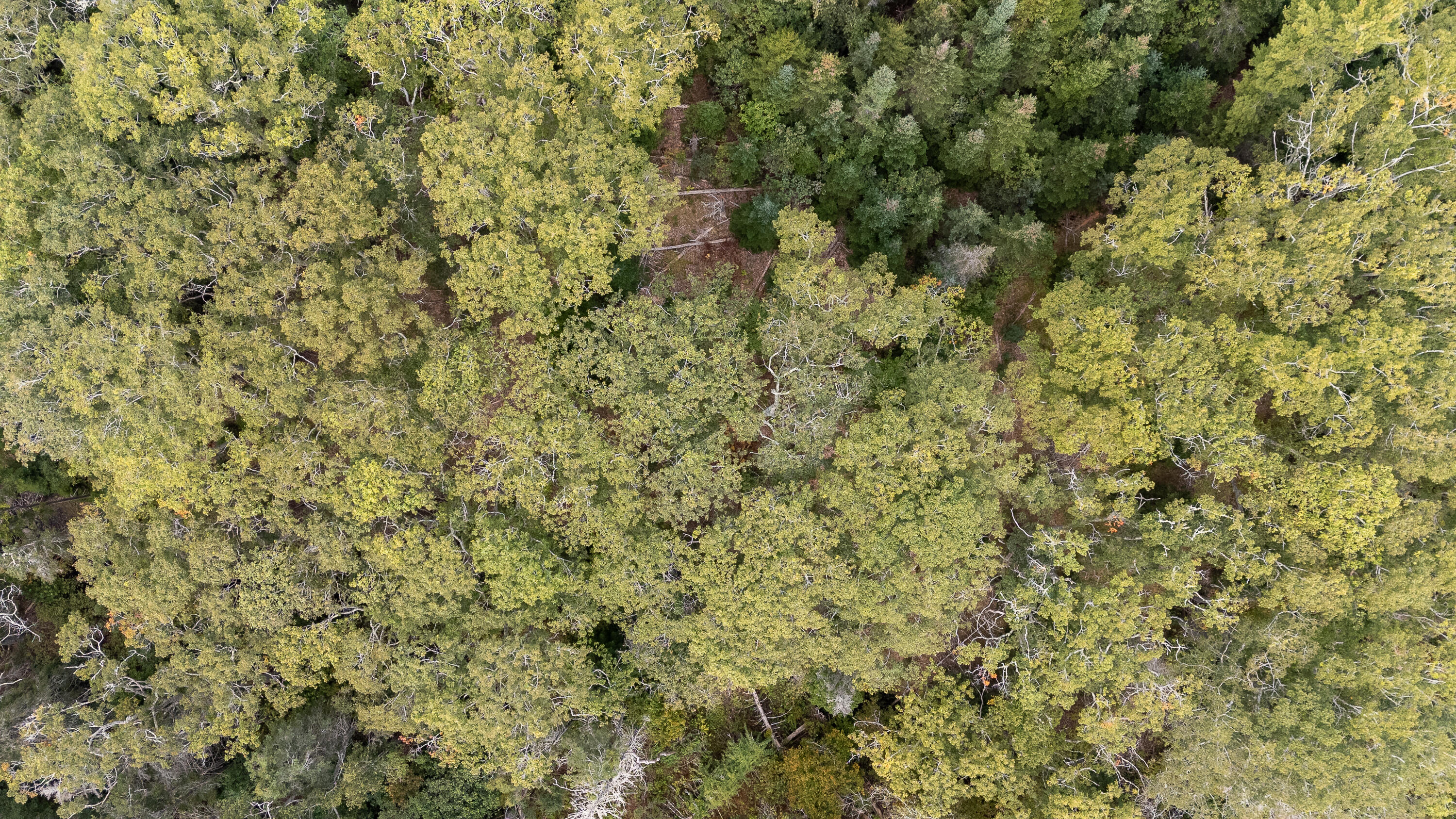 Lot 149 Bristol Road Damariscotta, ME 04543 - Photo 14 of 14 31-Map 4 Lot 149-31