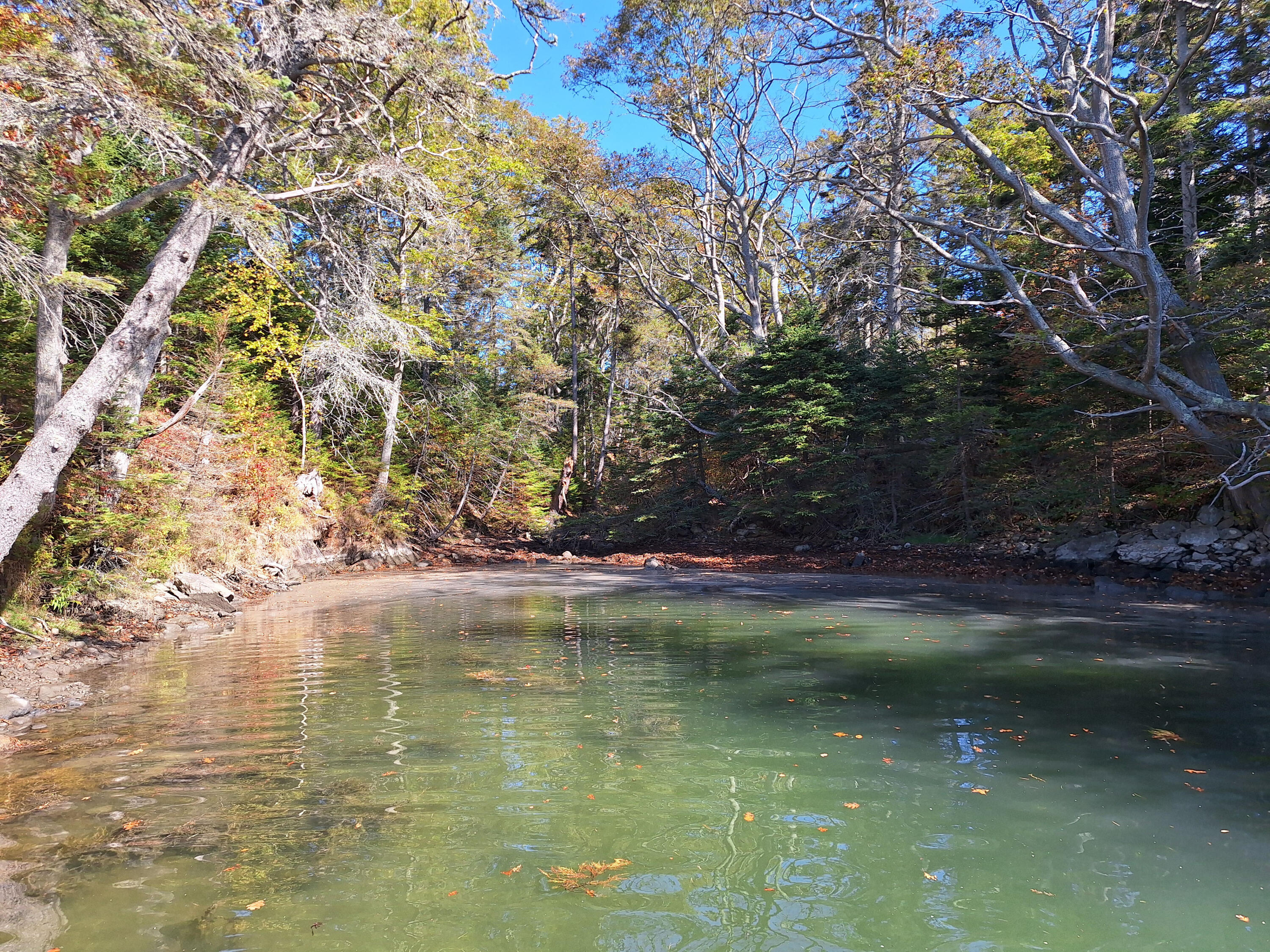 Lot 149 Bristol Road Damariscotta, ME 04543 - Photo 5 of 14 End of Cove 2