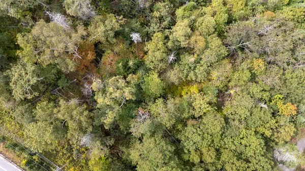$275,000 | Lot 149 Bristol Road, Damariscotta, ME 04543