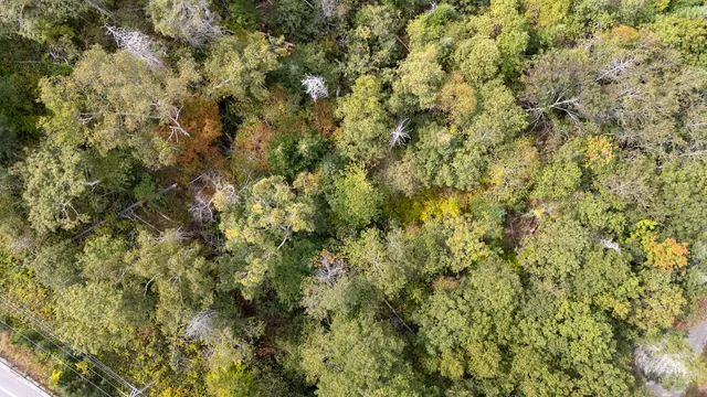 $275,000 | Lot 149 Bristol Road, Damariscotta, ME 04543