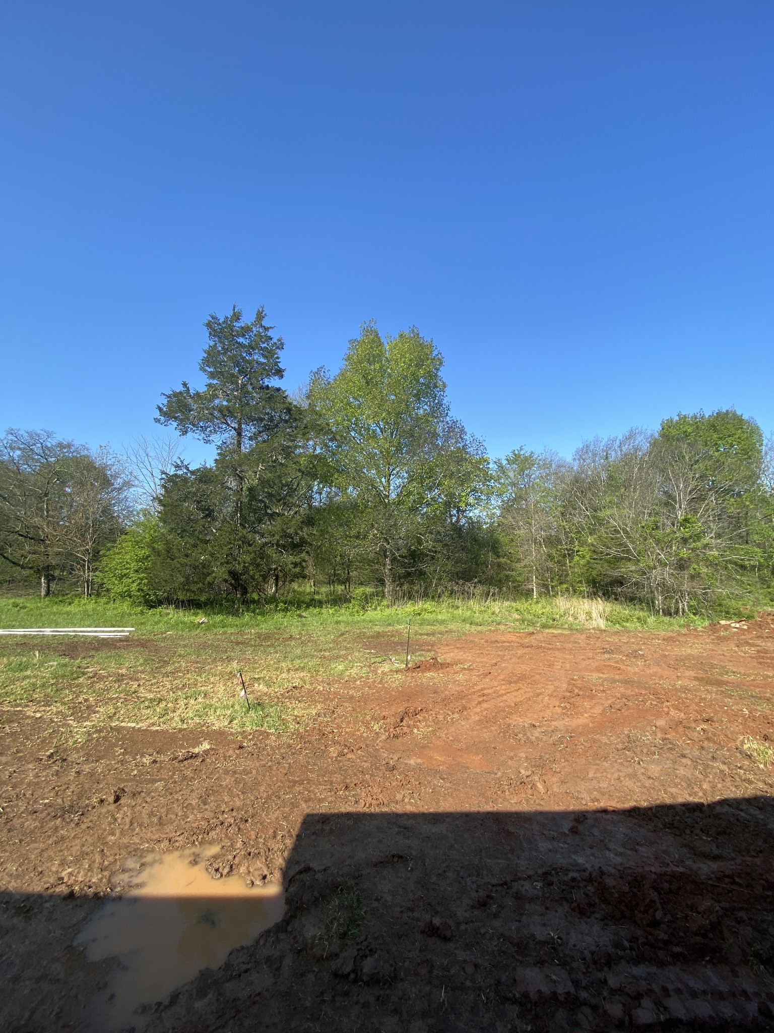 2202 Bob Cheek Road Lewisburg, TN 37091 - Photo 3 of 14 Gallery Image 3