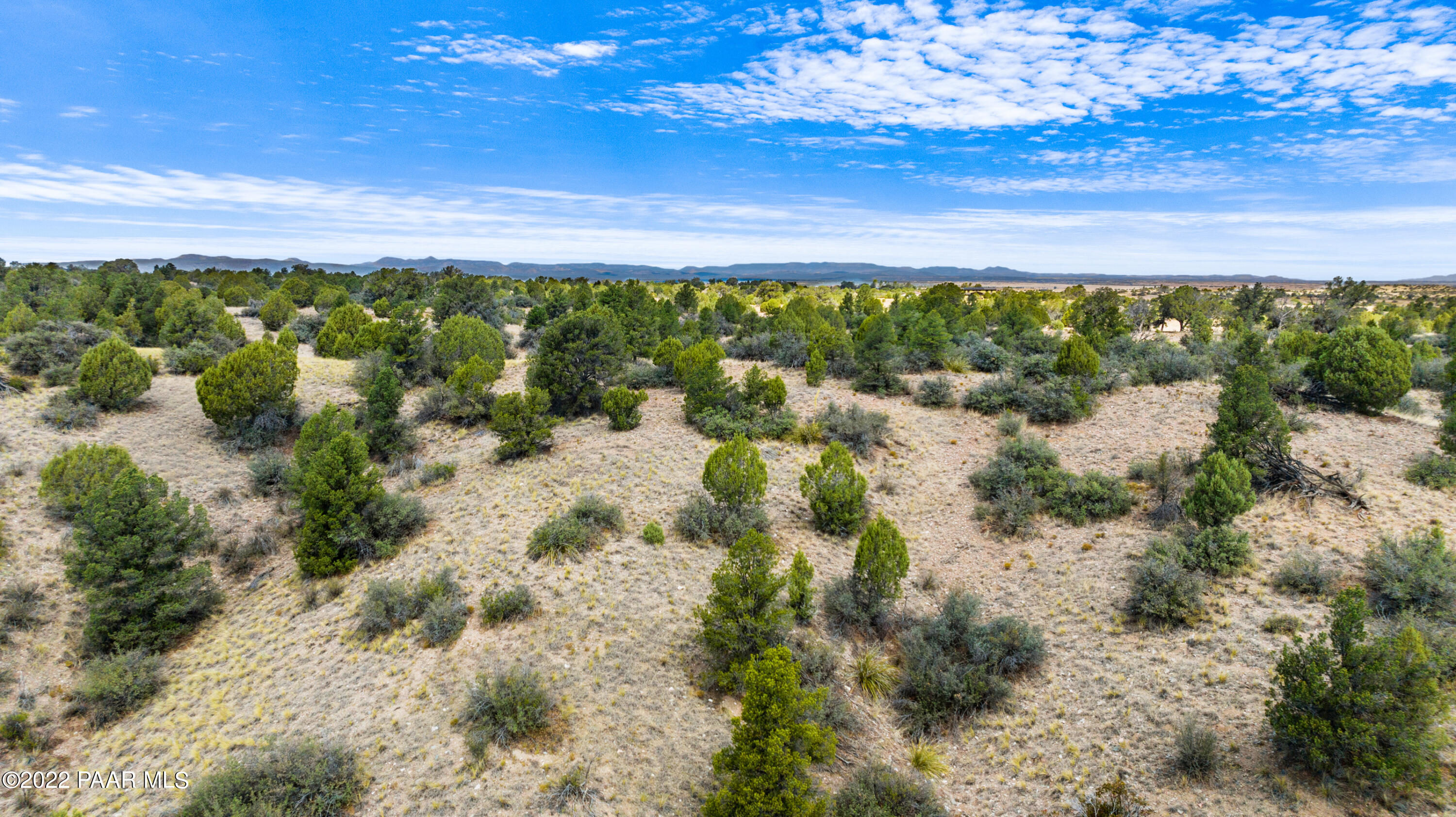 12605 North Pheasant Run Road Prescott, AZ 86305 - Photo 5 of 30 Lots of Trees