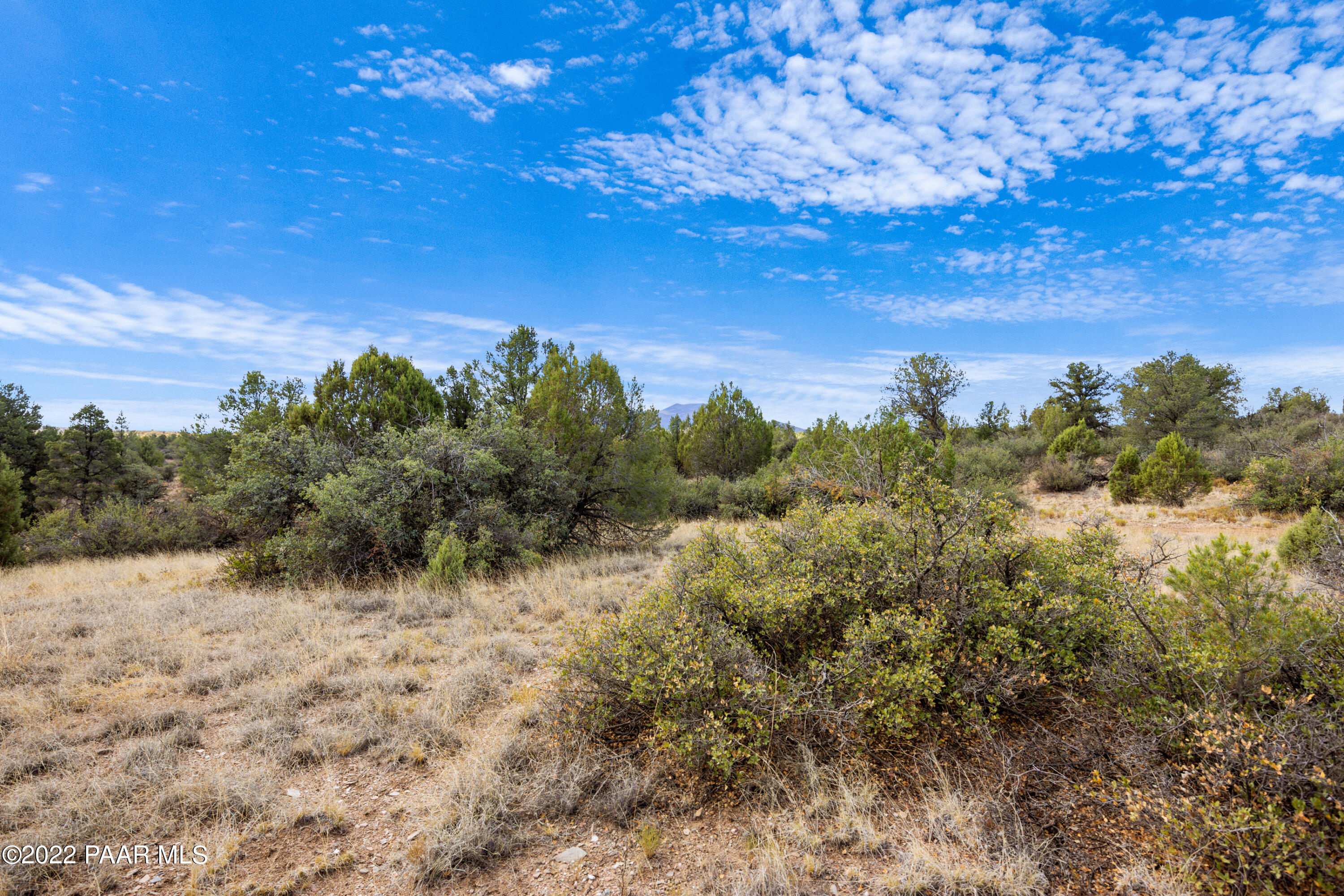 12605 North Pheasant Run Road Prescott, AZ 86305 - Photo 8 of 30 Level Areas