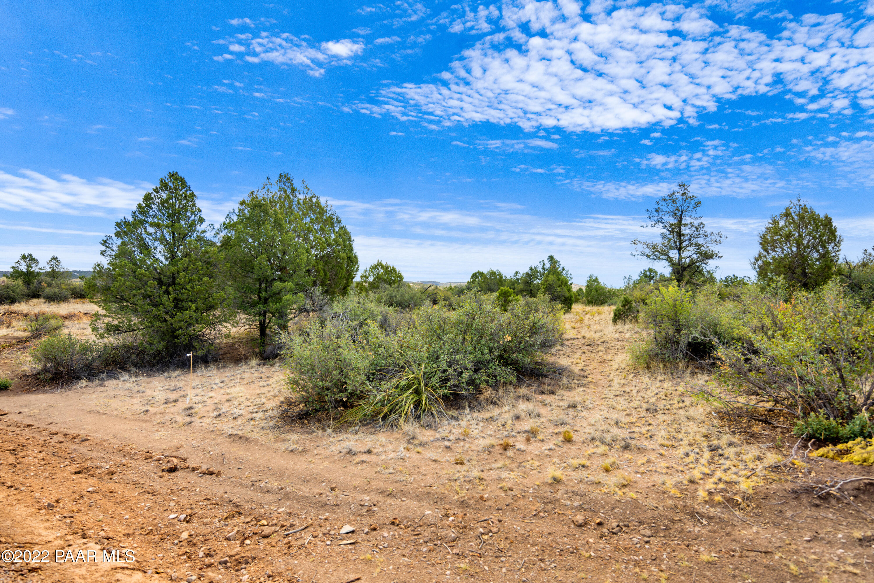 12605 North Pheasant Run Road Prescott, AZ 86305 - Photo 9 of 30 Mature Trees
