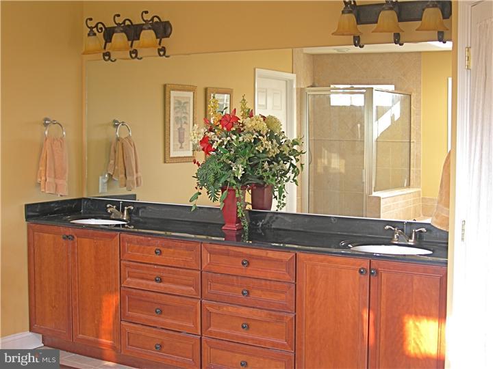 547 Taylor Road Downingtown, PA 19335 - Photo 15 of 25 Master Bathroom