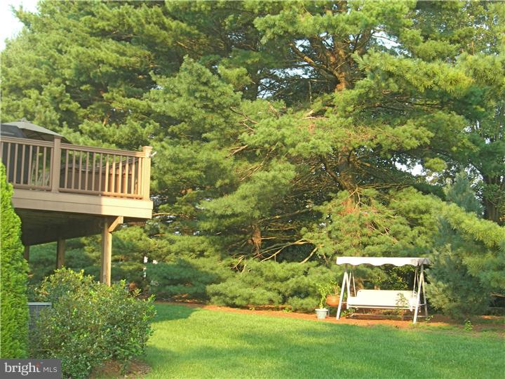 547 Taylor Road Downingtown, PA 19335 - Photo 22 of 25 Back Yard