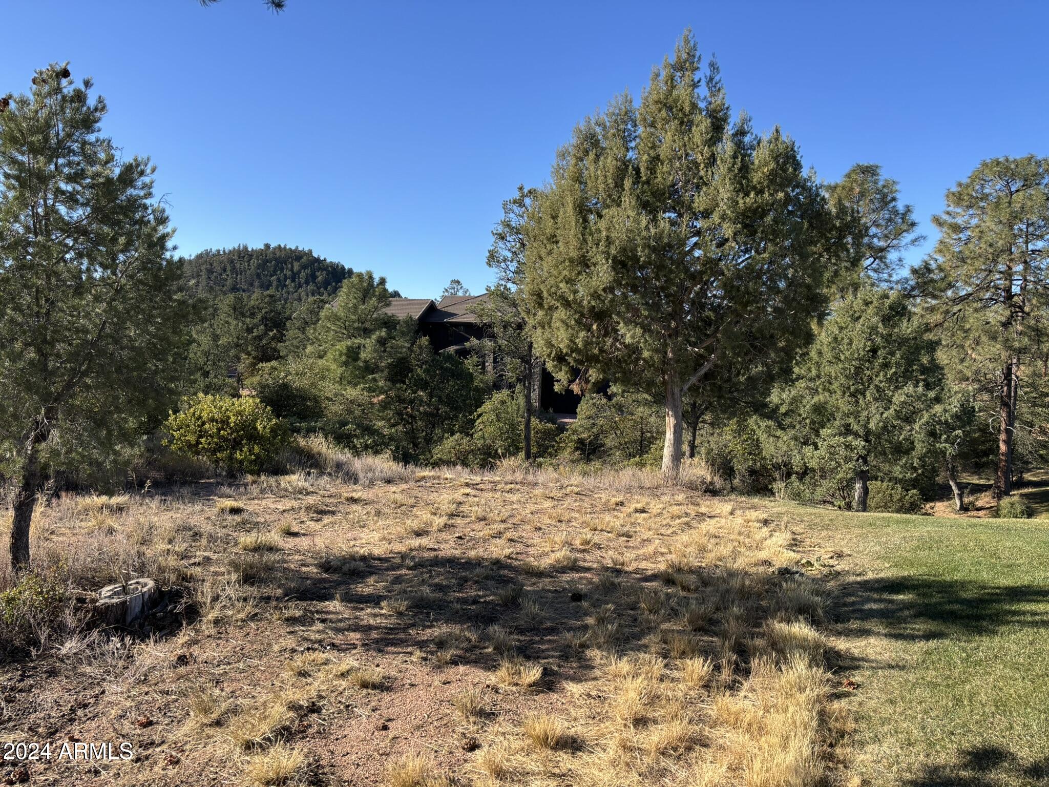 2502 East Rim Club Drive, Unit 118 Payson, AZ 85541 - Photo 11 of 17 a view of a yard with a tree