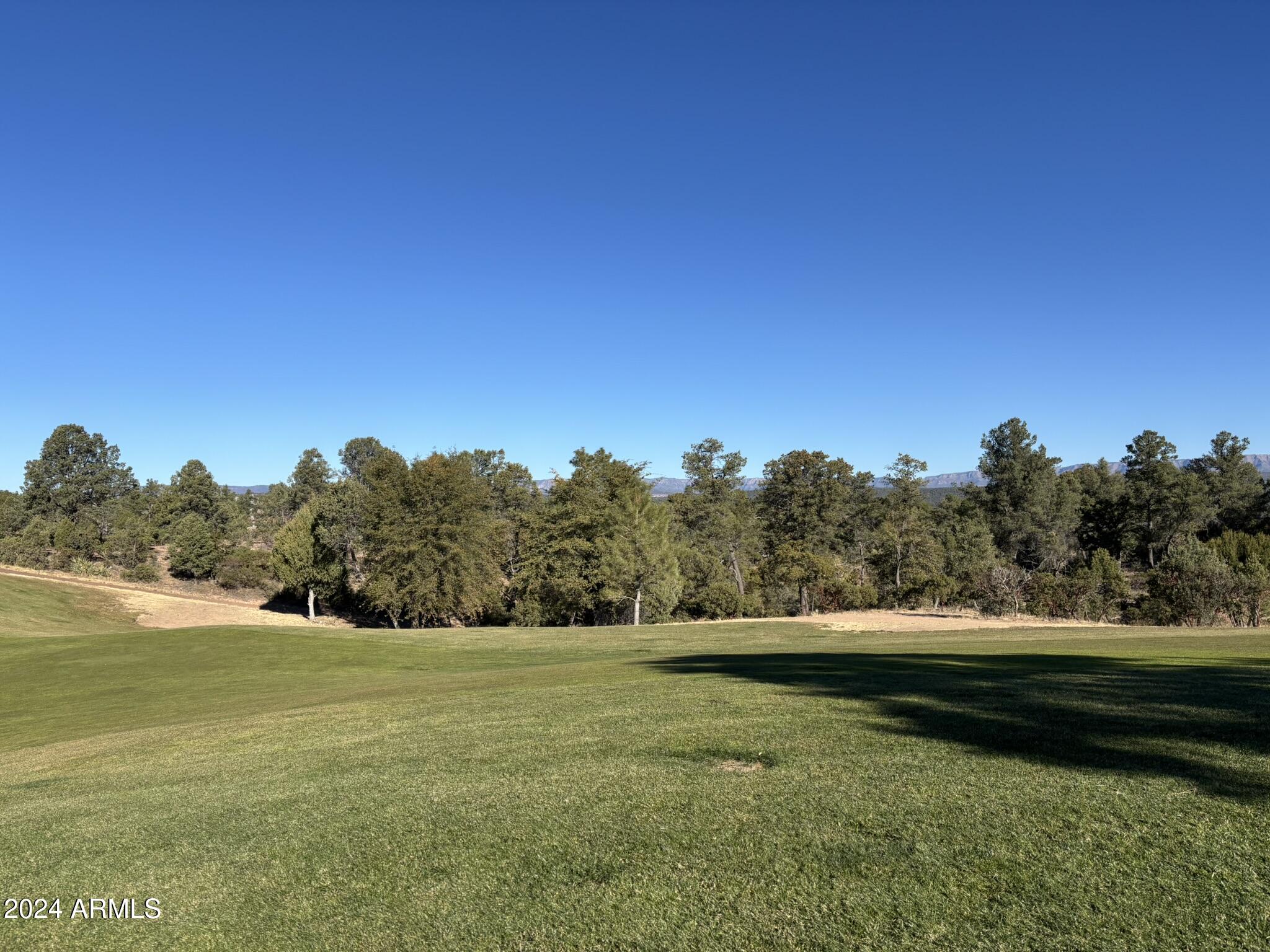 2502 East Rim Club Drive, Unit 118 Payson, AZ 85541 - Photo 3 of 17 a view of a field with trees in the background