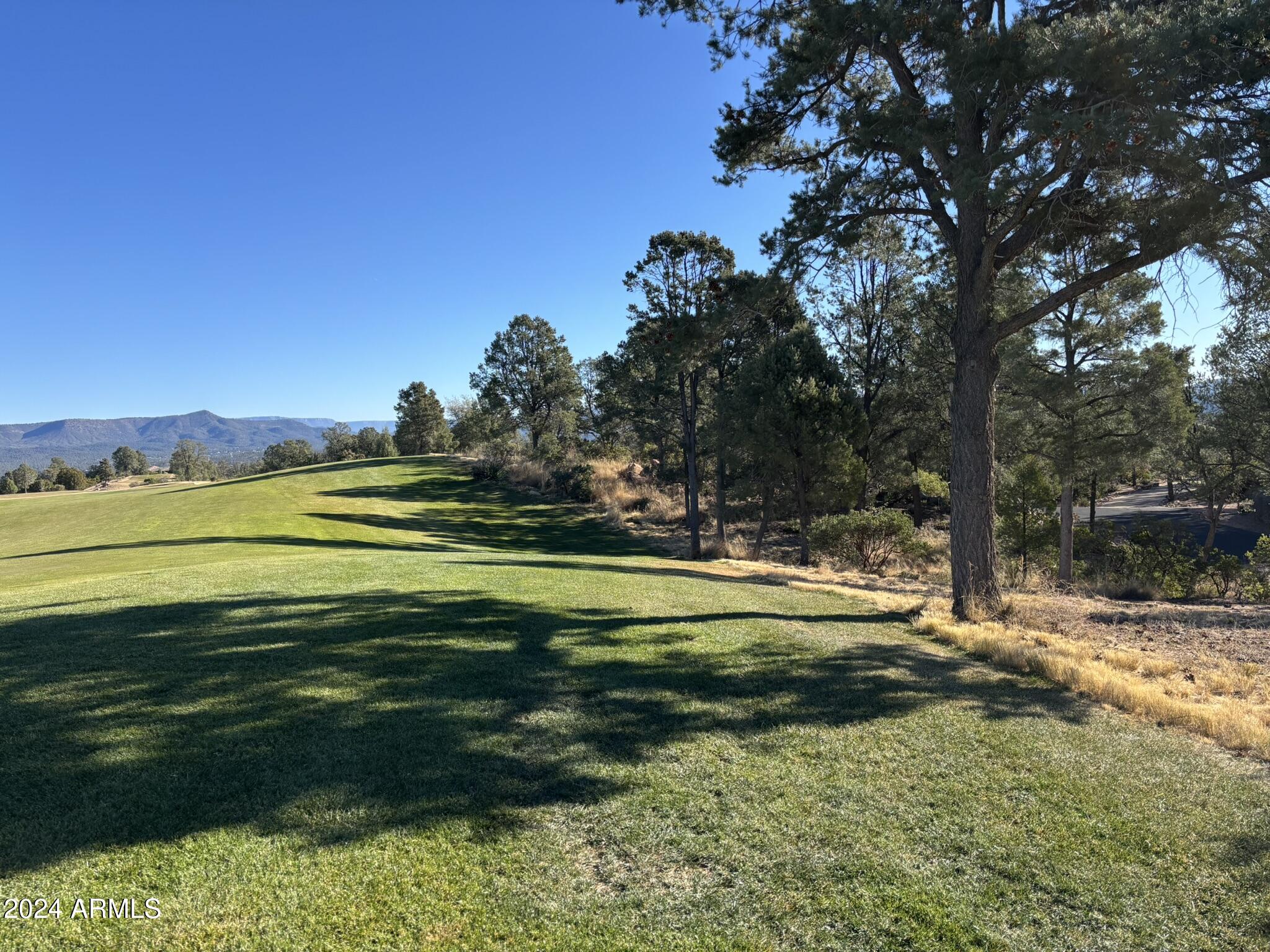 2502 East Rim Club Drive, Unit 118 Payson, AZ 85541 - Photo 8 of 17 a view of a swimming pool with a yard