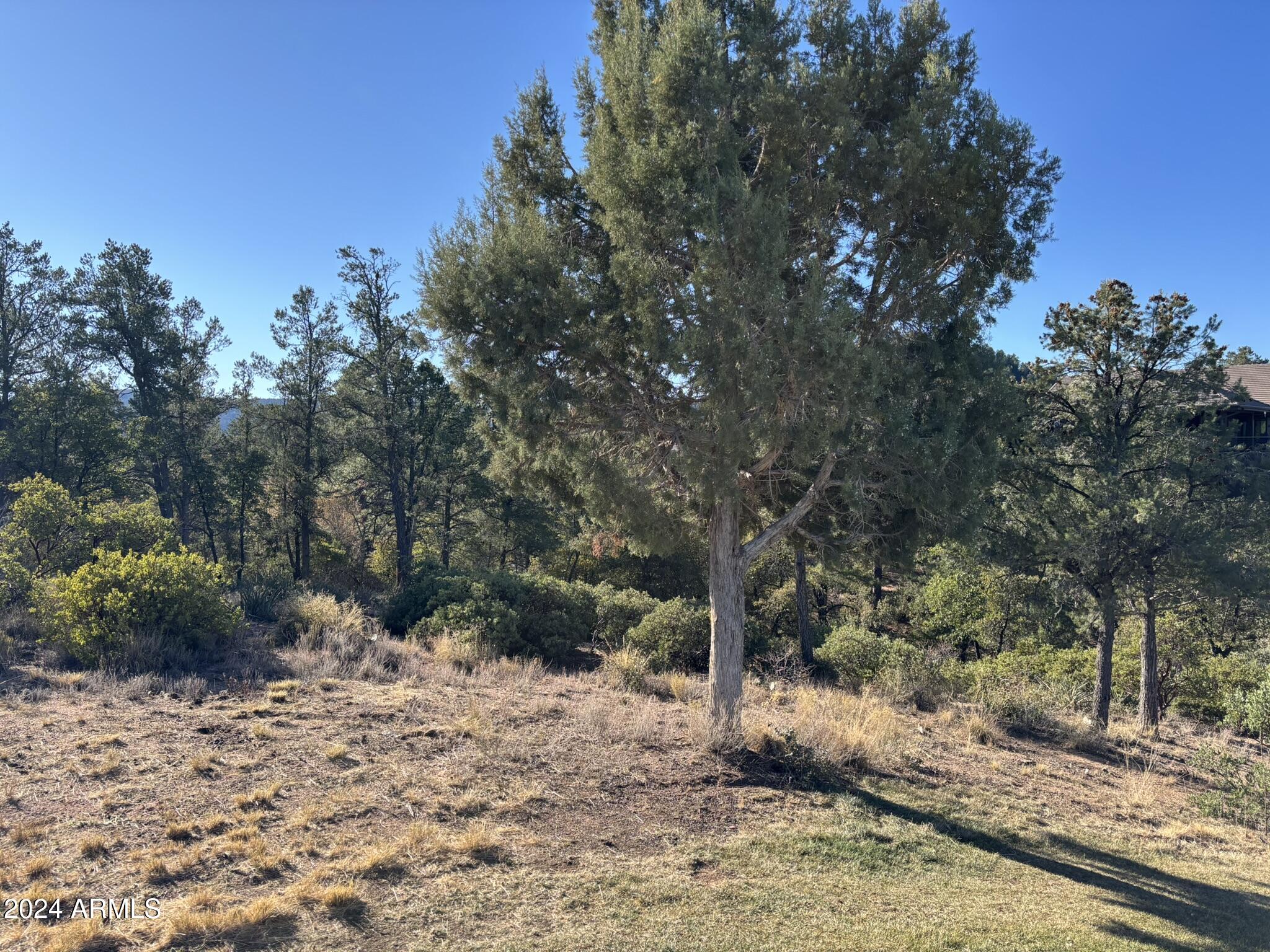 2502 East Rim Club Drive, Unit 118 Payson, AZ 85541 - Photo 10 of 17 a view of a yard with plants and trees