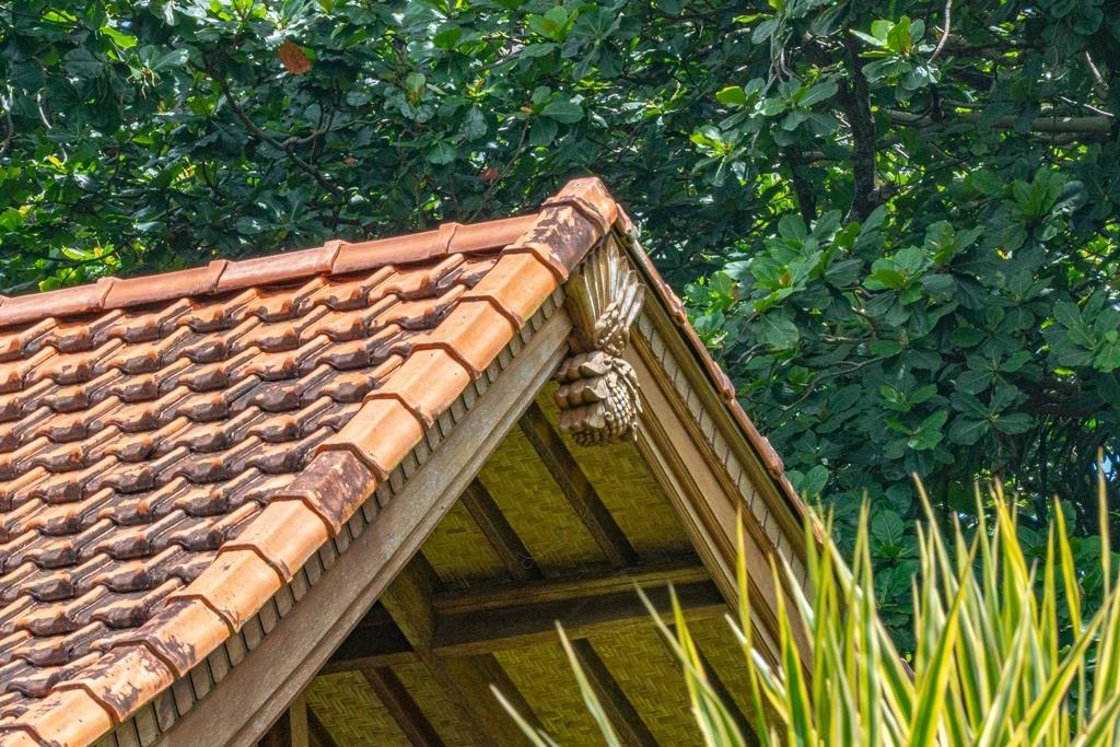 165 Waikoloa Road Hana, HI 96713 - Photo 42 of 50 a view of outdoor space and yard