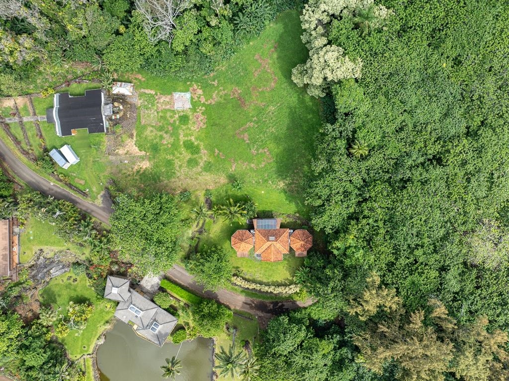 165 Waikoloa Road Hana, HI 96713 - Photo 44 of 50 an aerial view of a house with a yard