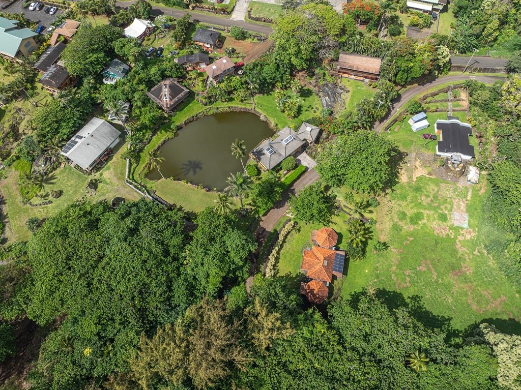 165 Waikoloa Road Hana, HI 96713 - Photo 45 of 50 an aerial view of a house with a yard and large trees
