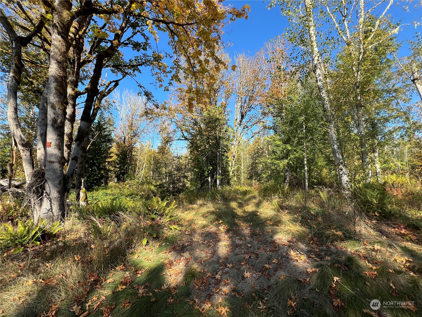 147 Tree Haven Road Quilcene, WA 98376 - Photo 16 of 17 Gallery Image 16
