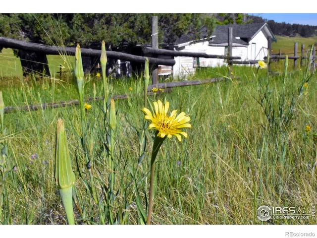 $389,000 | 1364 Redbluff Road, Livermore, CO 80536