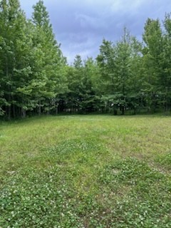 4850 Hyde Road Springfield, TN 37172 - Photo 11 of 13 a view of a lake view