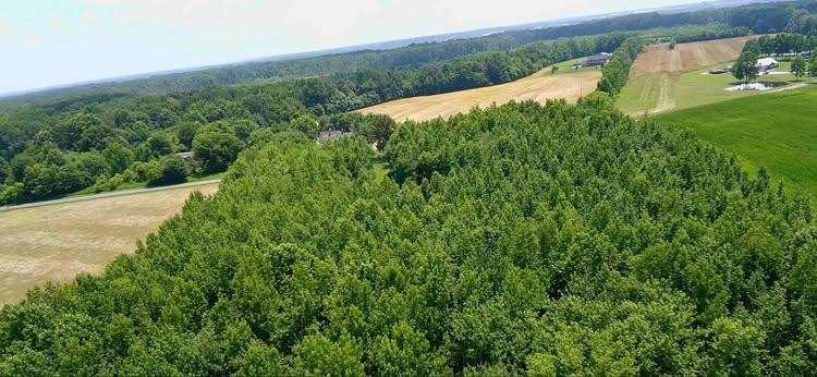 4850 Hyde Road Springfield, TN 37172 - Photo 2 of 13 a view of a field of grass and a building in background
