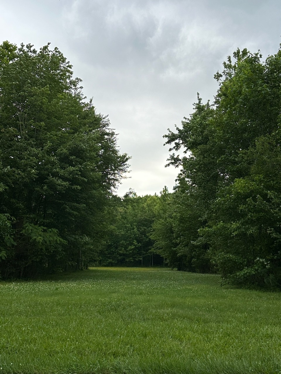 4850 Hyde Road Springfield, TN 37172 - Photo 3 of 13 a view of a grassy field with trees
