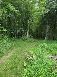 4850 Hyde Road Springfield, TN 37172 - Photo 4 of 13 a view of outdoor space and green field