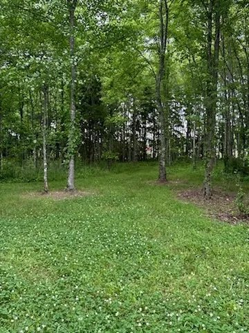 a view of a green field with lots of trees