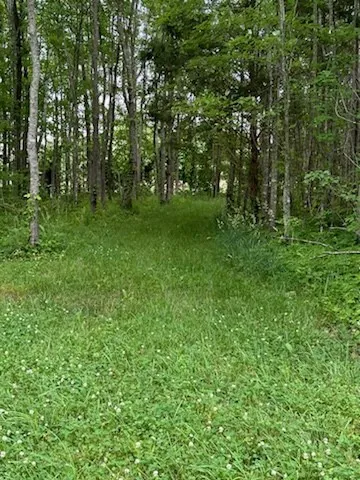 a view of outdoor space with deck and yard