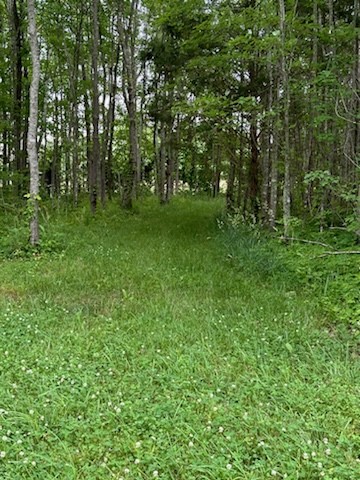 4850 Hyde Road Springfield, TN 37172 - Photo 7 of 13 a view of outdoor space with deck and yard