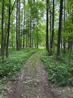 4850 Hyde Road Springfield, TN 37172 - Photo 9 of 13 a big yard with lots of green space and trees