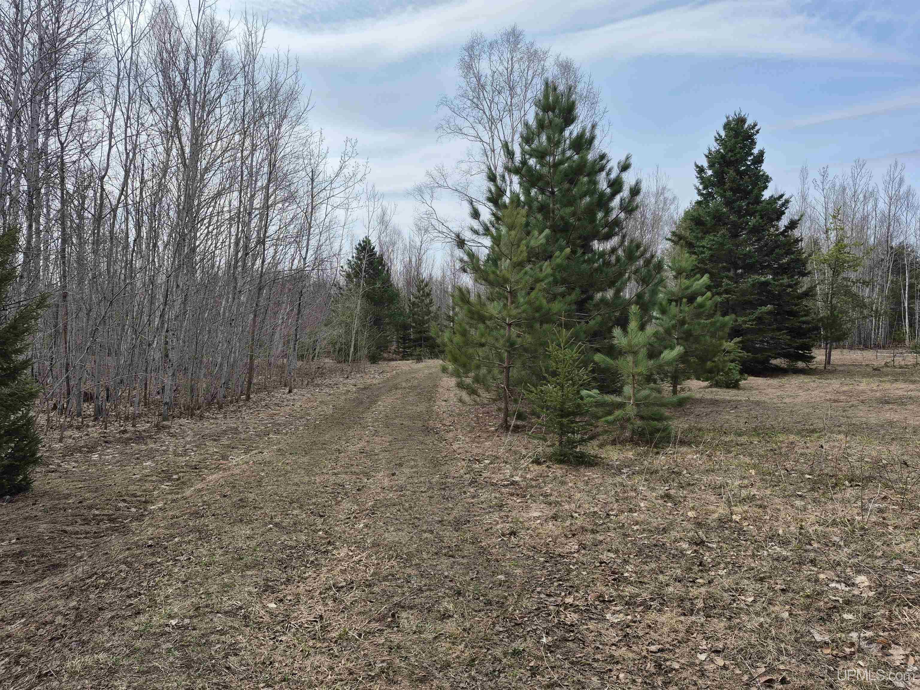 3754 Quarry Road Gulliver, MI 49840 - Photo 39 of 77