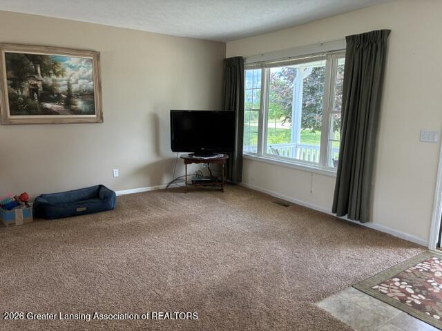 2230 West Mead Road St. Johns, MI 48879 - Photo 11 of 29 IMG_5987