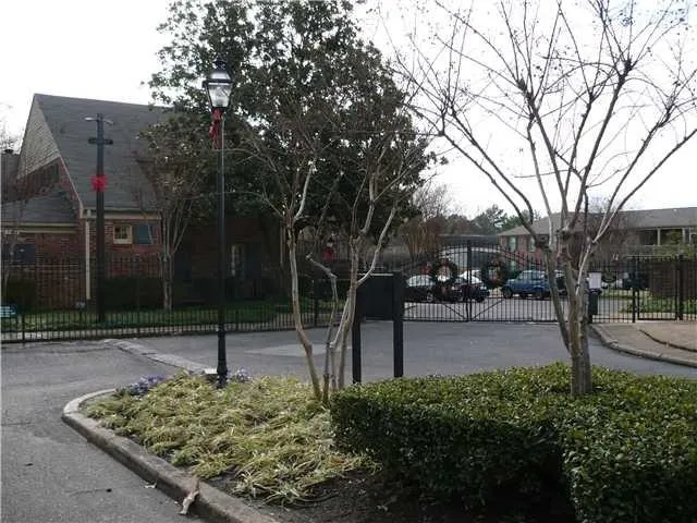 a view of a park with large trees