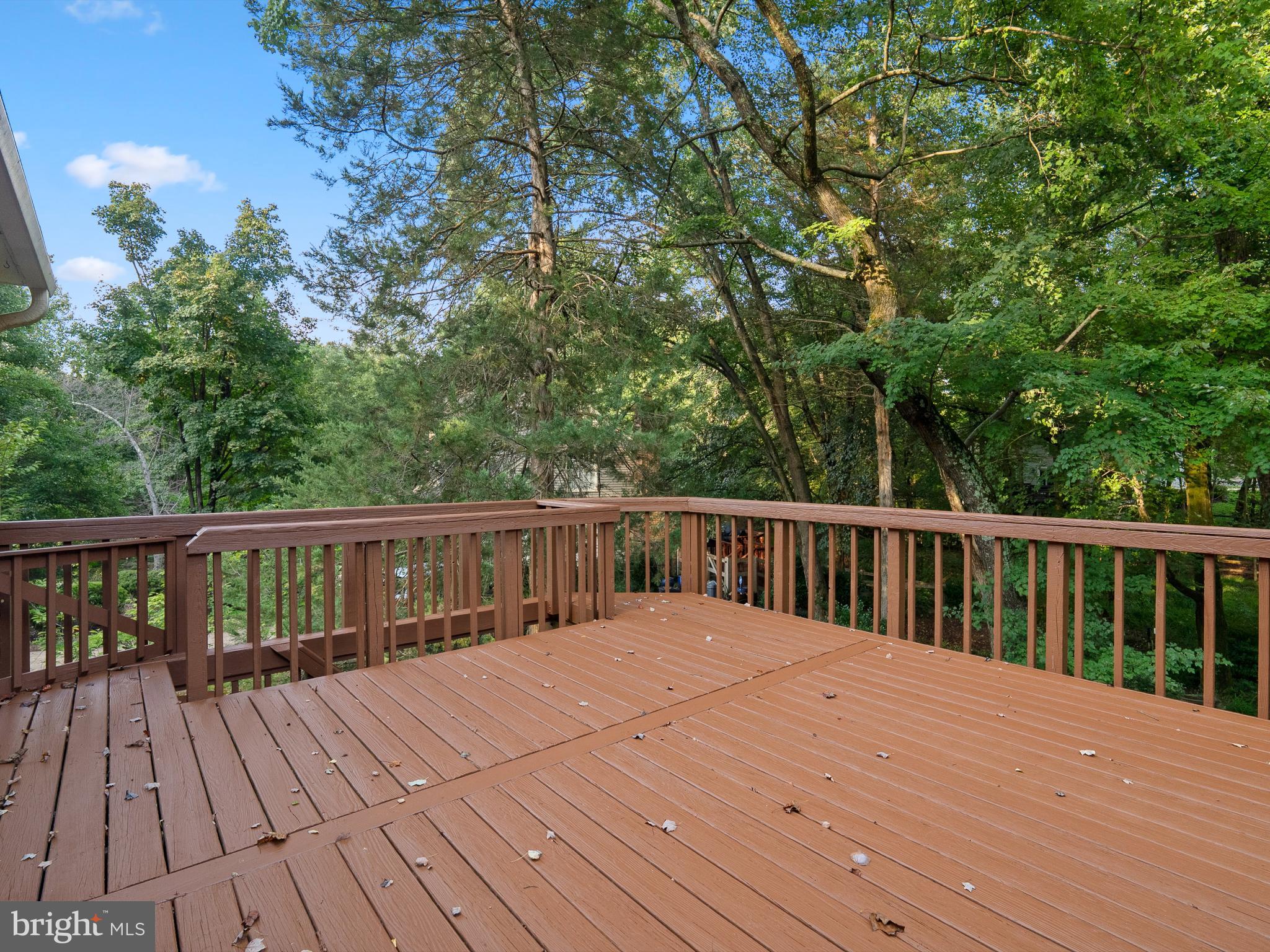 11603 Auburn Grove Court Reston, VA 20194 - Photo 46 of 53
