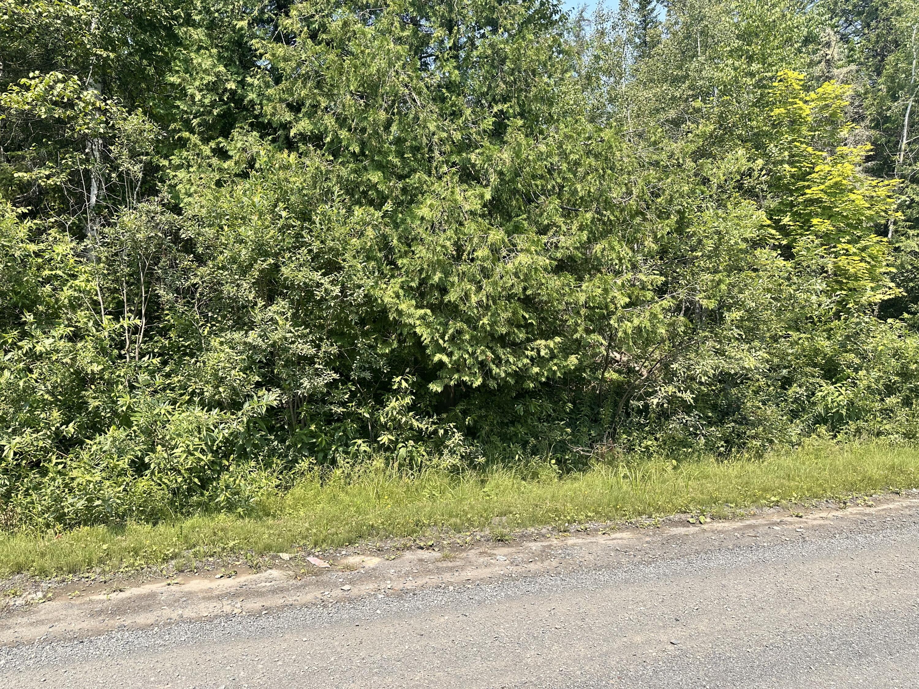 Map3-lot7e Fowler Road Woodland, ME 04736 - Photo 2 of 8 IMG_7423