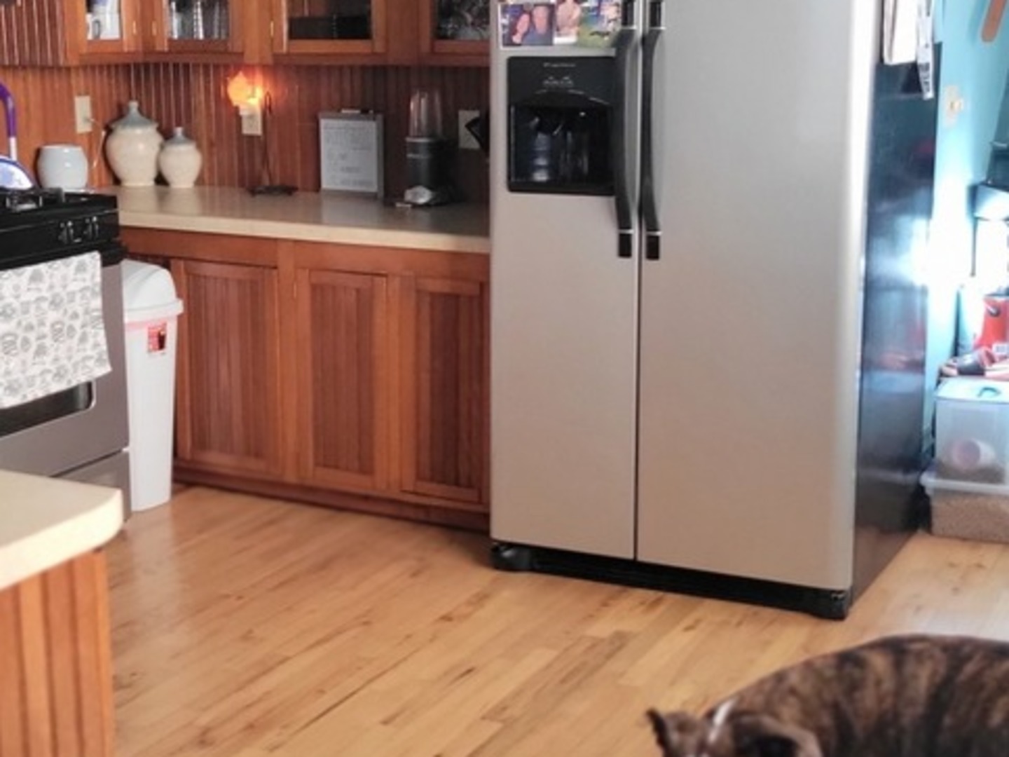 103 North Maple Street Momence, IL 60954 - Photo 17 of 43