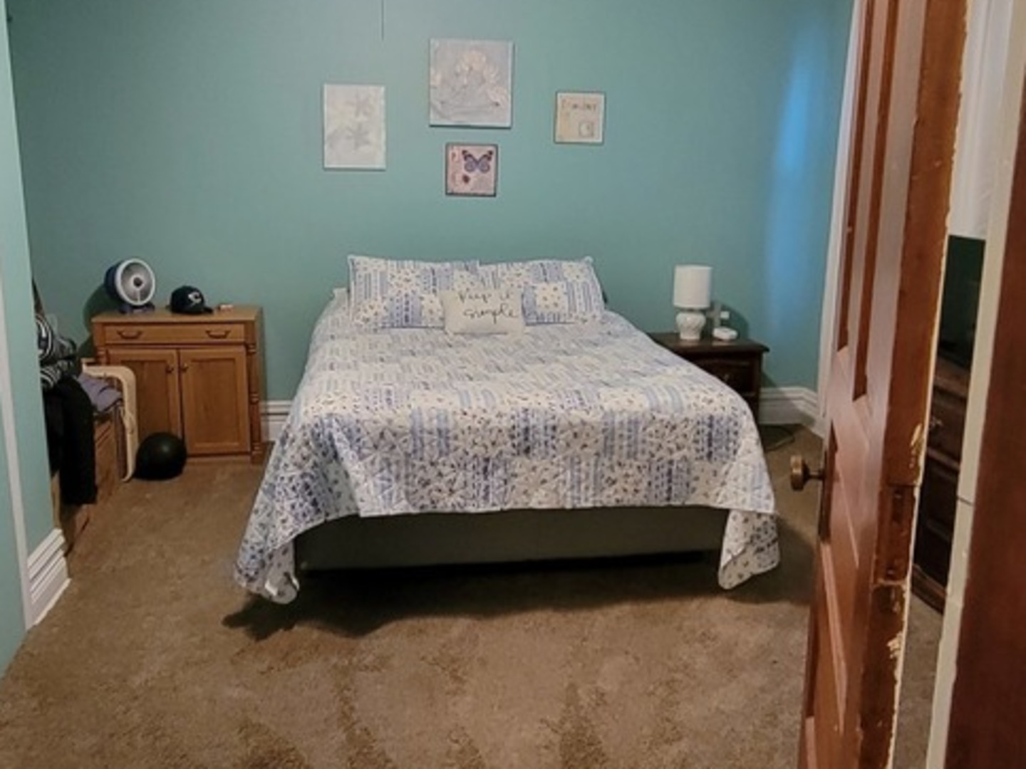 103 North Maple Street Momence, IL 60954 - Photo 25 of 43