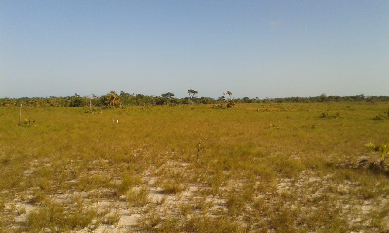 100 Acres Beach undefined, undefined 99999 - Photo 12 of 13 a view of an ocean and beach
