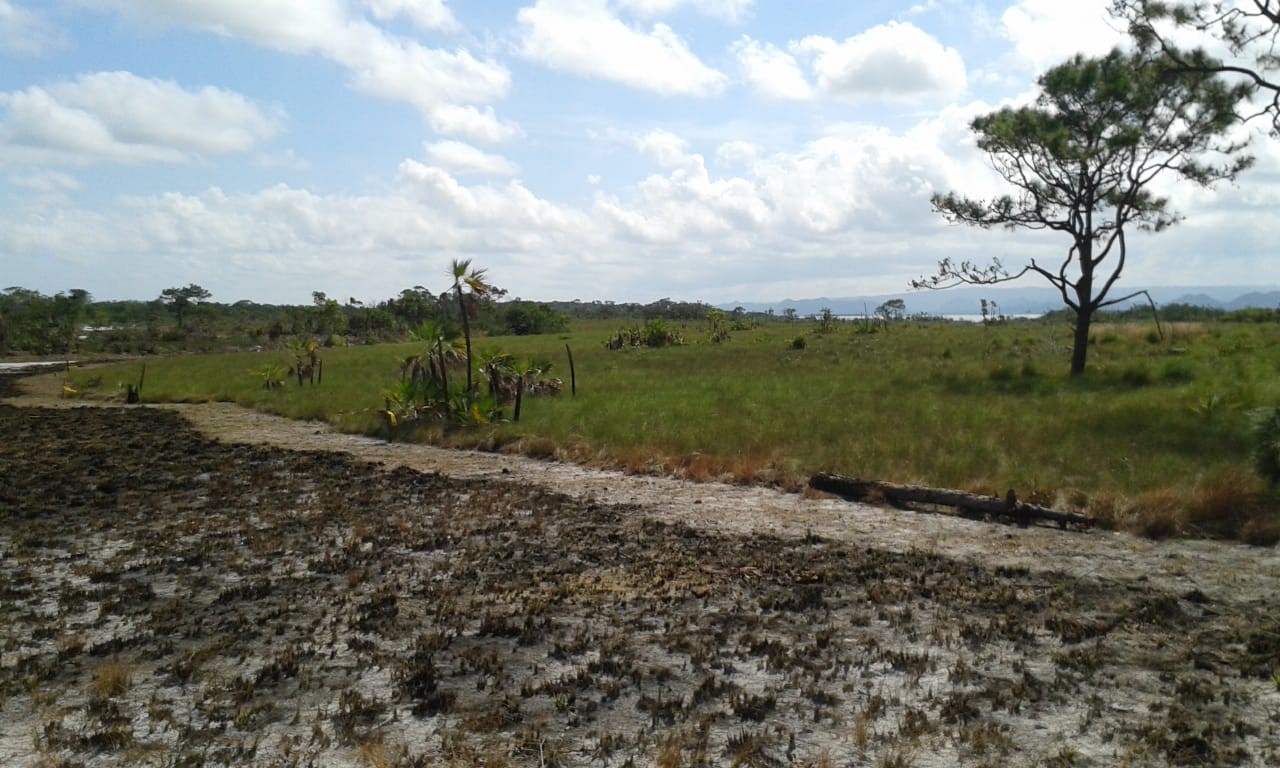 100 Acres Beach undefined, undefined 99999 - Photo 13 of 13 a view of a lake with a big yard