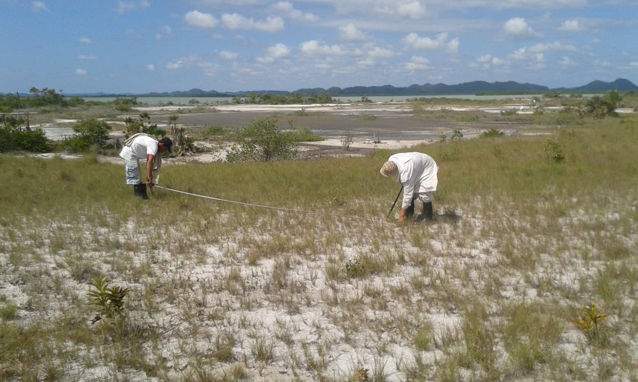 100 Acres Beach undefined, undefined 99999 - Photo 3 of 13
