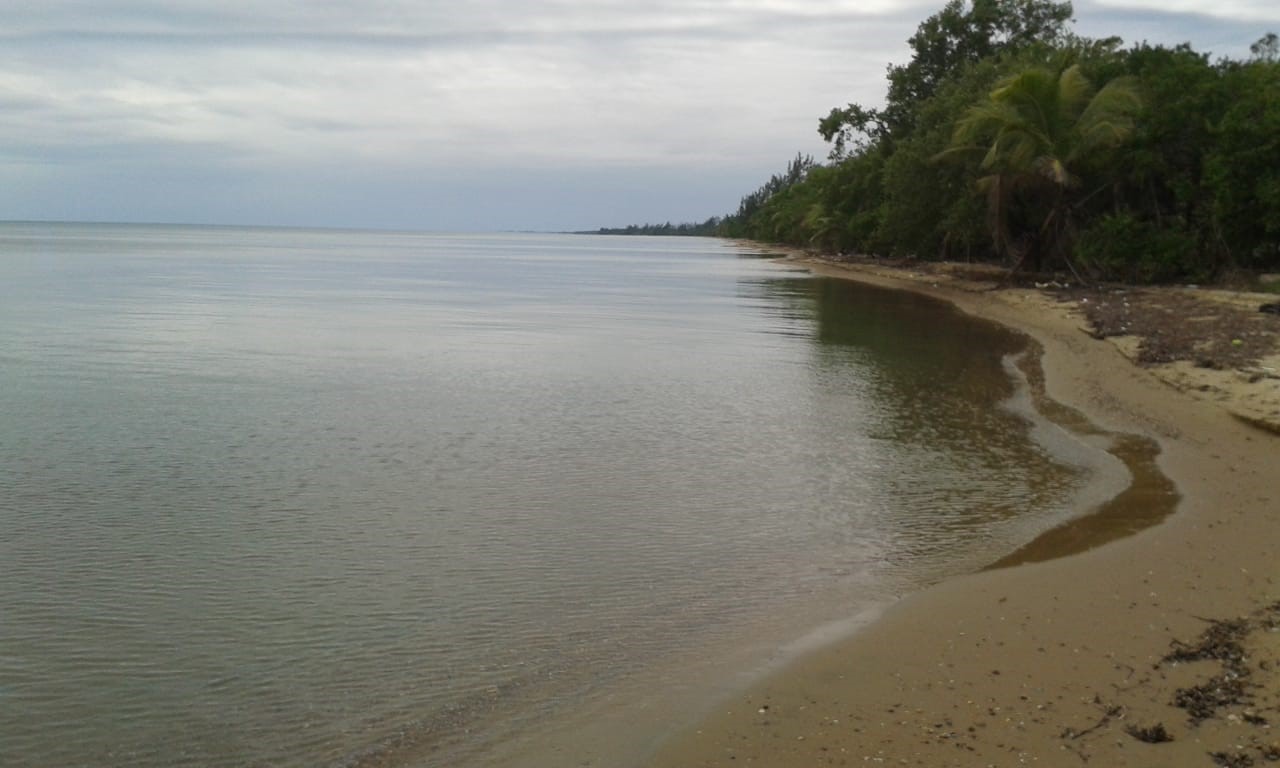 100 Acres Beach undefined, undefined 99999 - Photo 5 of 13 a view of a lake view