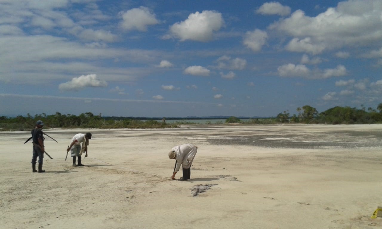 100 Acres Beach undefined, undefined 99999 - Photo 6 of 13 a view of a lake