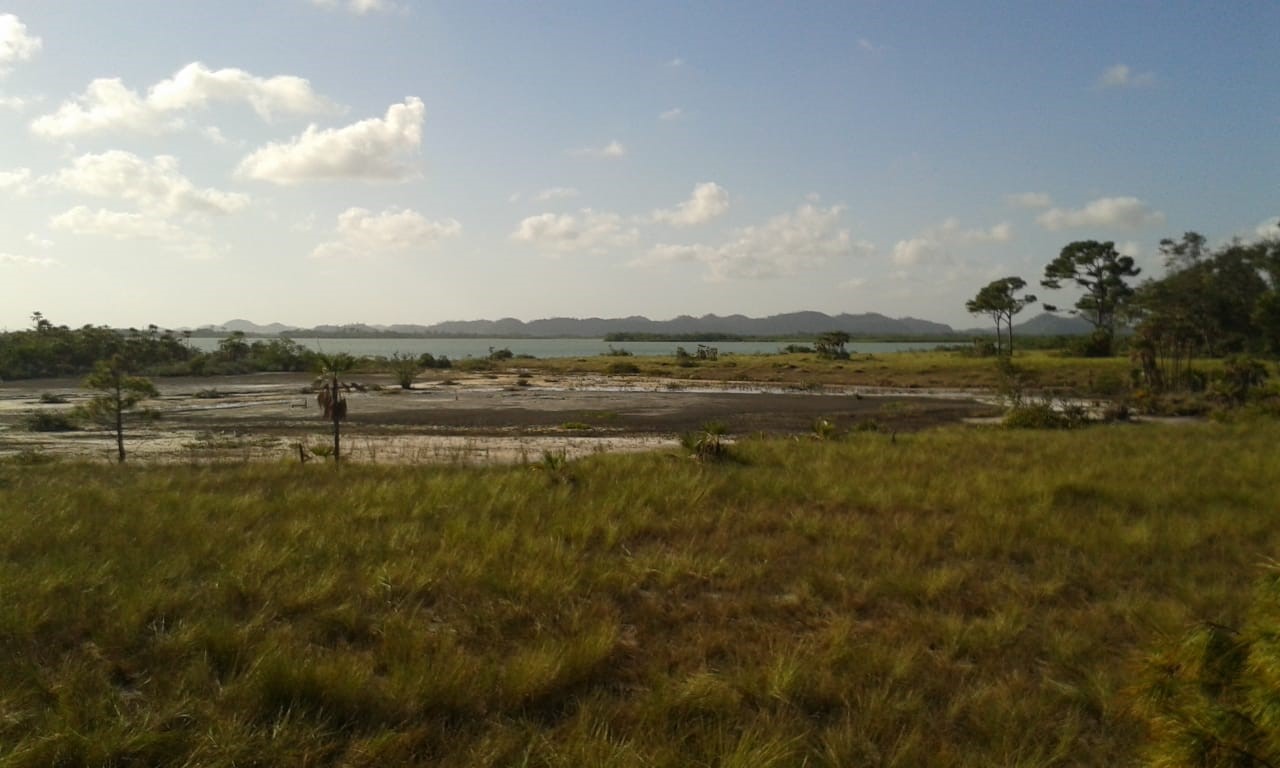 100 Acres Beach undefined, undefined 99999 - Photo 7 of 13 a view of a lake with houses in the back