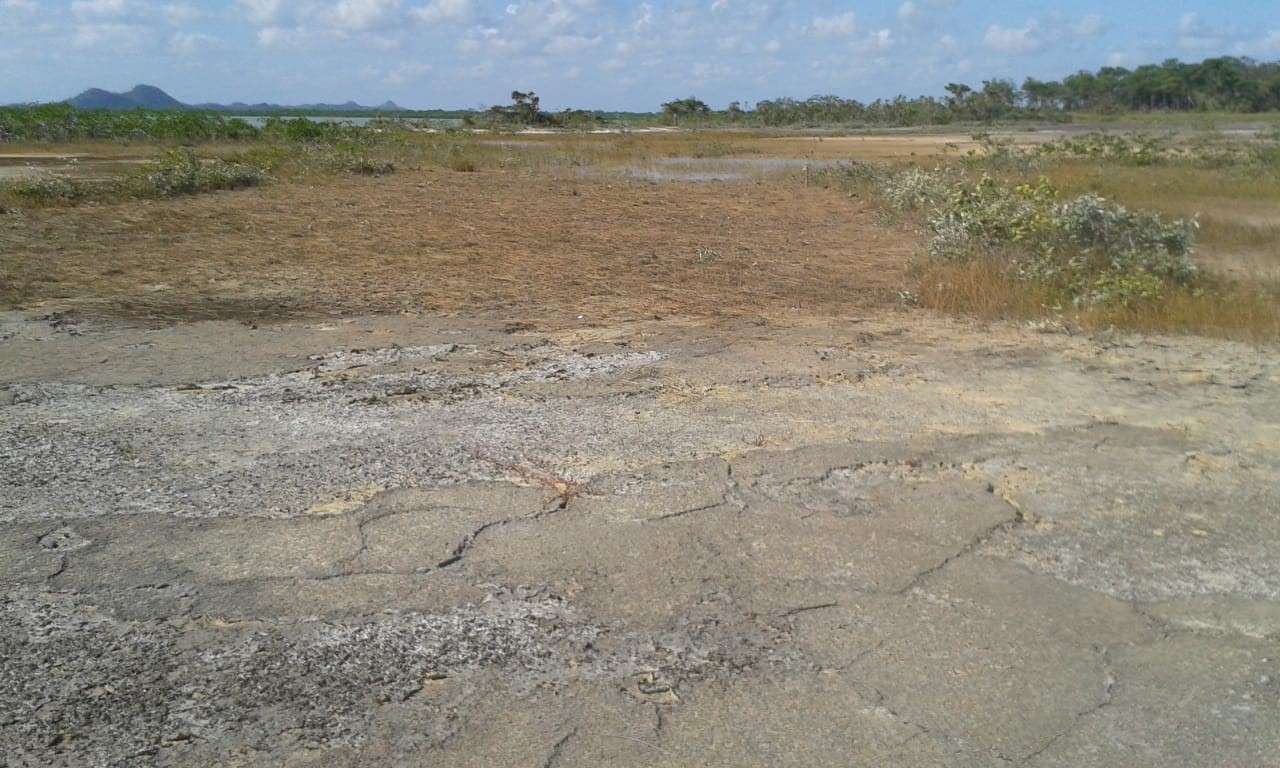 100 Acres Beach undefined, undefined 99999 - Photo 10 of 13 a view of a lake view