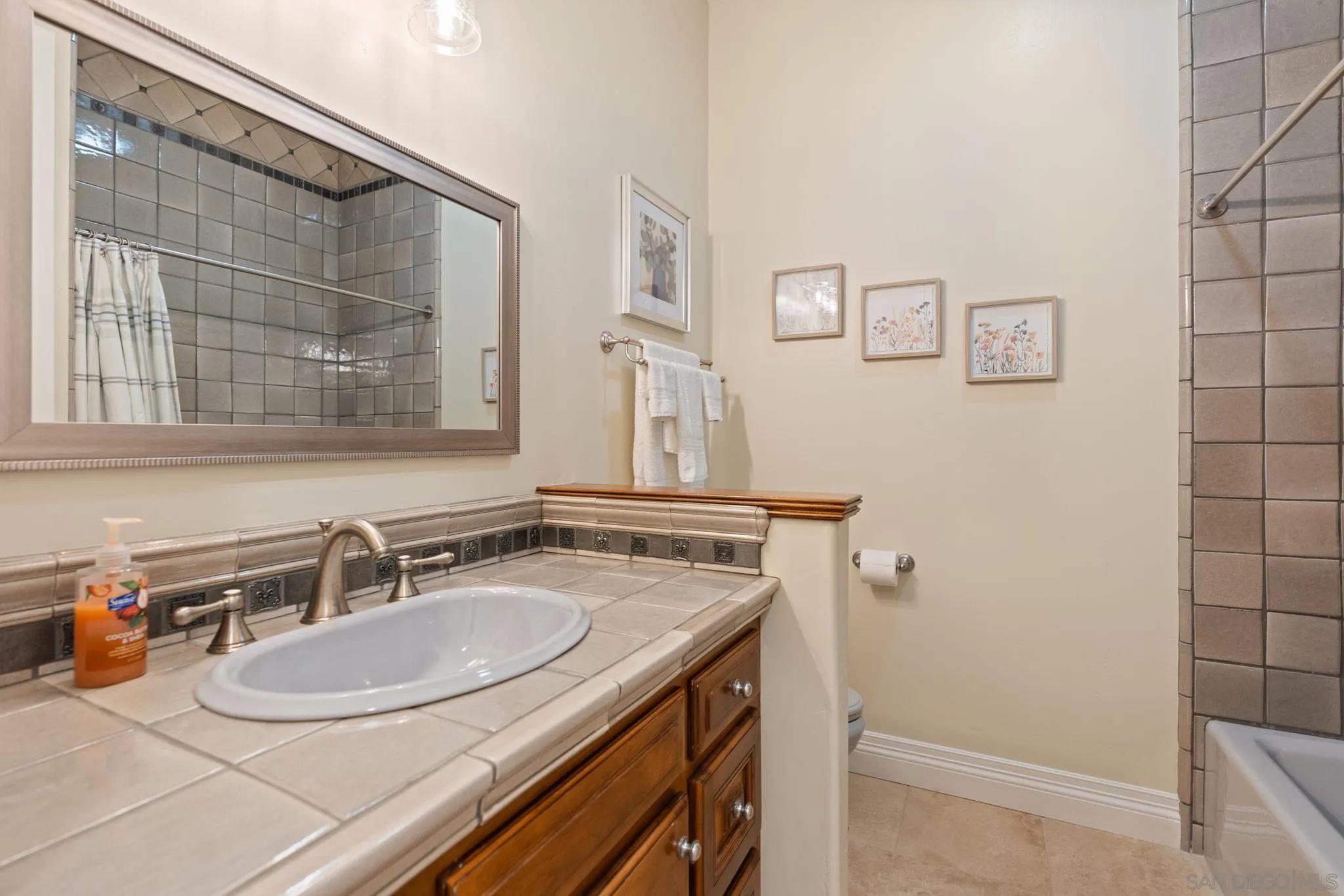 546 Morro Hills Road Fallbrook, CA 92028 - Photo 25 of 52 a bathroom with a sink and a mirror